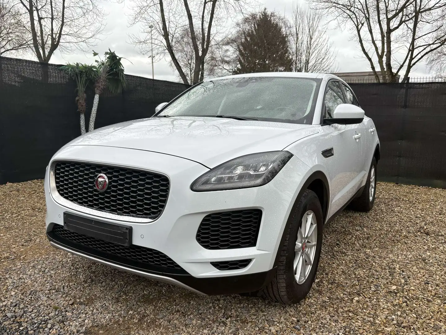 Jaguar  E-Pace 2.0 D AWD 1e PROP - NAVI - CAM - Eur6b - DIRECT AUTO
 